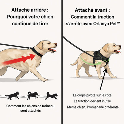 Harnais anti-traction Orlanya Pet™